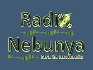 Radio Nebunya